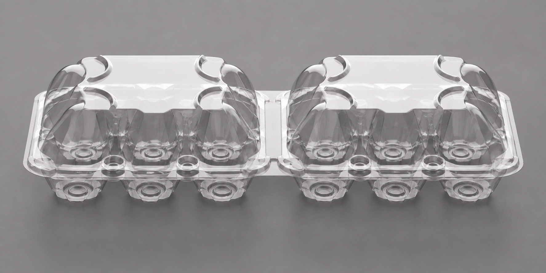 Estuche transparente para 12 huevos en dos módulos de seis